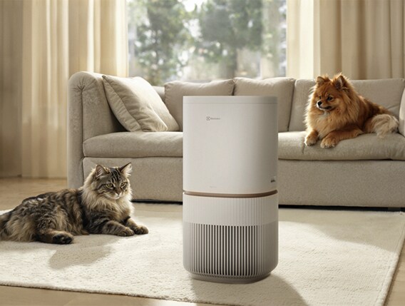 Luftrenaren Pure 500 XL PetCare.