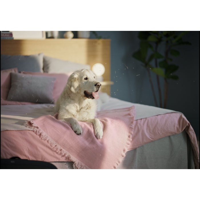 Electrolux - Air Purifier - EFWBTH3