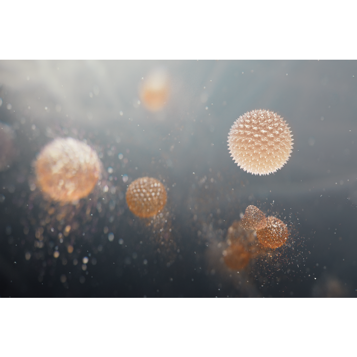 Electrolux - Air Purifier - EFFBTH2