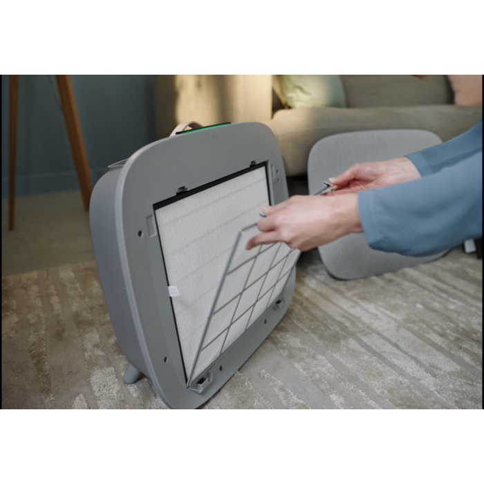 Electrolux - Air Purifier - EFWBTH3
