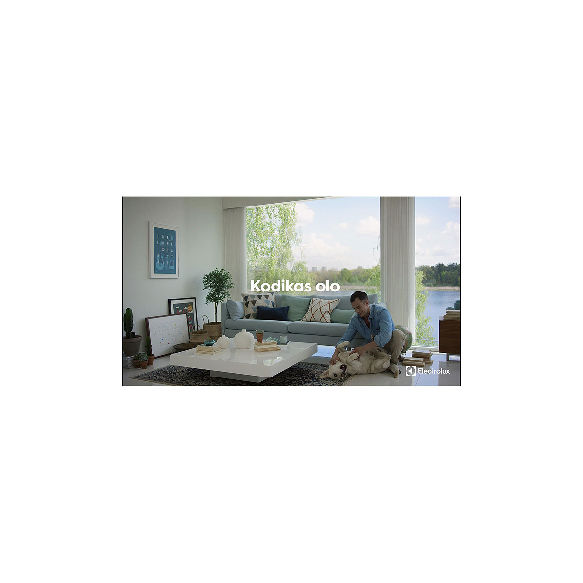 Electrolux - Suulake/harja - KIT13