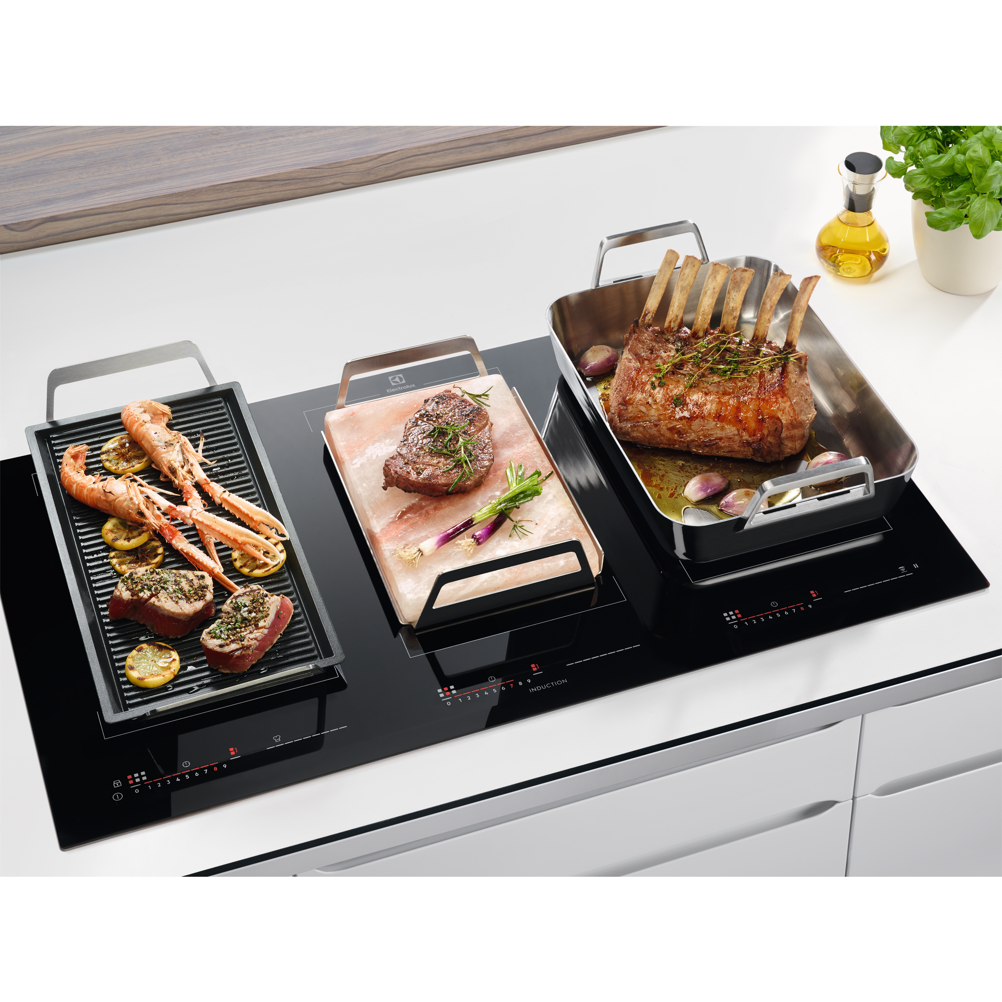 Electrolux - Salt Block - E2SLT