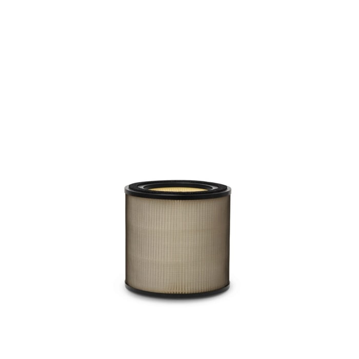Electrolux - Ilmanpuhdistimen suodatin - EFFBTH2