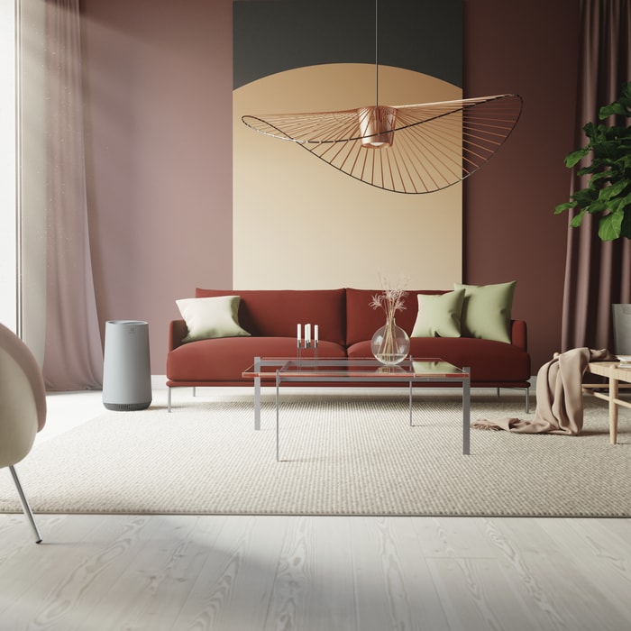 Electrolux - Ilmanpuhdistimen suodatin - EFFCAR2