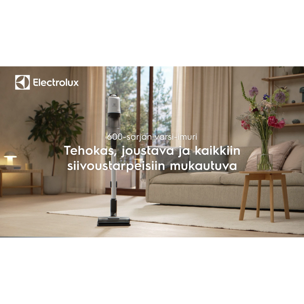 Electrolux - Johdoton varsi-imuri - EP61C21SN1