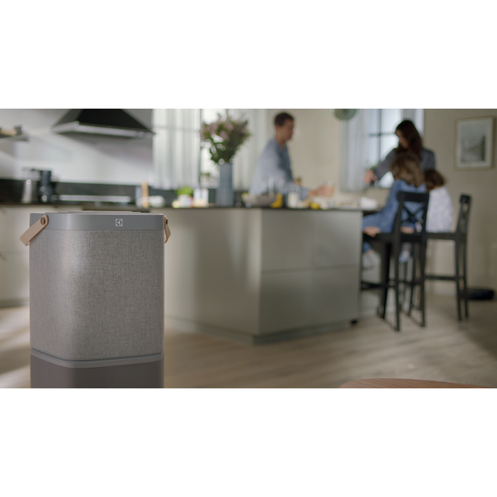Electrolux - Ilmanpuhdistimen suodatin - EFDFRH6