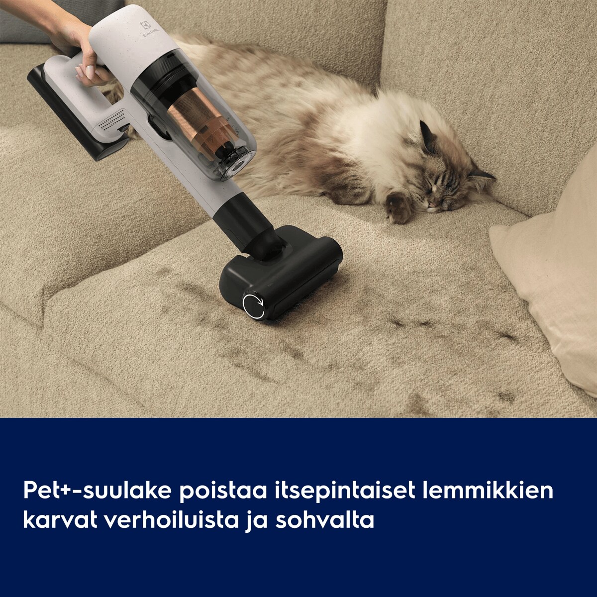 Pet+-suulake poistaa itsepintaiset lemmikkien karvat verhoiluista ja sohvalta