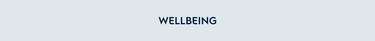 Wellbeing