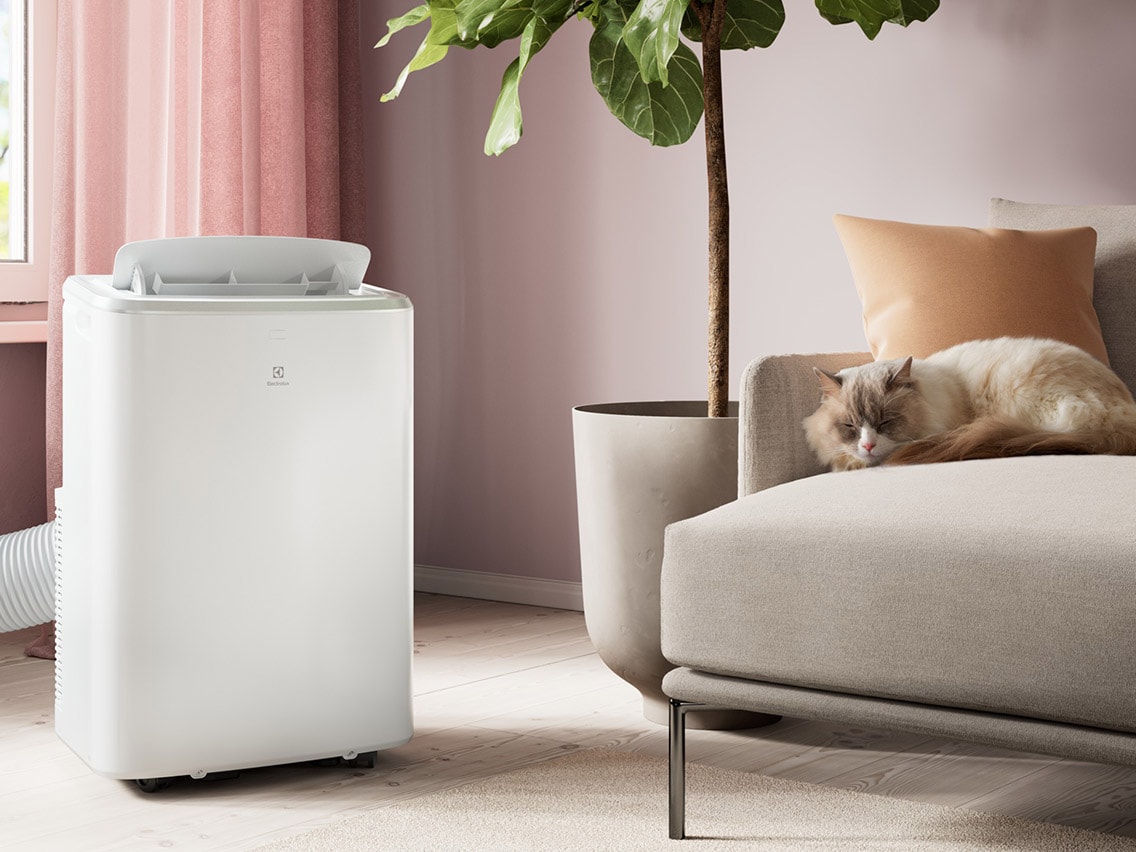 Valkoinen, kannettava Electrolux-ilmastointilaite vaaleassa olohuoneessa, jossa kissa nukkuu sohvalla.